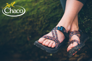 news_release_chaco_2015ss_4