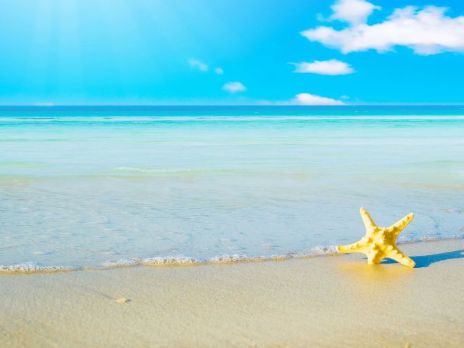 10-star-fish-sea-beach-sand-wallpaper_preview