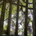 下から見上げると違う趣です