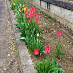 いつもお世話ありがとうございます