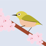 メジロと桜のシャッターチャンスがなかったので来年は撮りたいですね