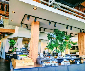 PXL_20260403_031925461.MP-EDIT~2