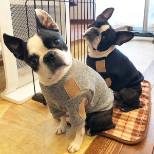 1BB7792F-9C13-4BD5-A872-E8721E9C2DEE