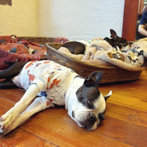 9FE88395-7DD4-4D6E-81CF-0715AEFC7BC9