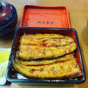 18D1ABAC-024A-4F80-97C3-320FA1464EEF