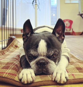 BEADBBEA-6A7E-400F-93DD-CB418FA8AB91 2