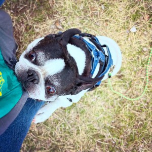 0F93FF9D-31EA-455B-9400-27A554AD3658