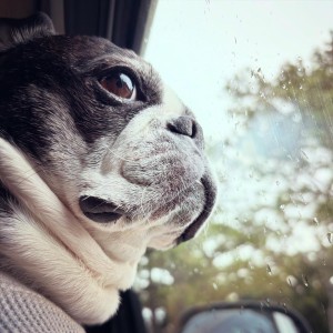 244C204E-8439-4966-8312-5B38B52CB9AA