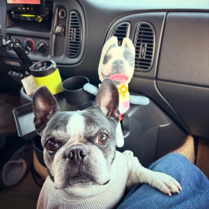 5E9D0402-9EBE-4E68-9D33-B7CB2FCF3FF2