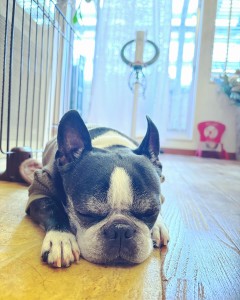 85410B32-48CA-4F65-8FAD-DFEE570EB729