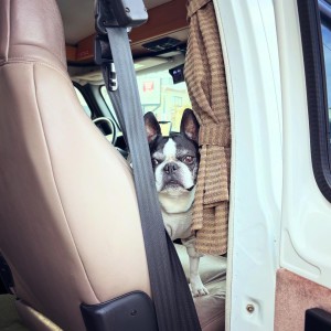 B47B16BB-4ED0-4E28-8B39-42B19848DDB1