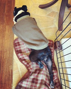 BCD09181-397B-4524-8BF4-CB522222C07C