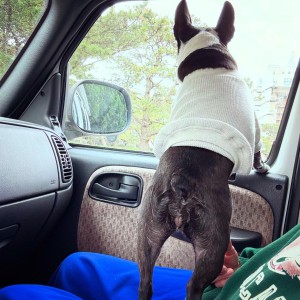 BE8C1A32-63DA-46F7-AC7F-833267707567