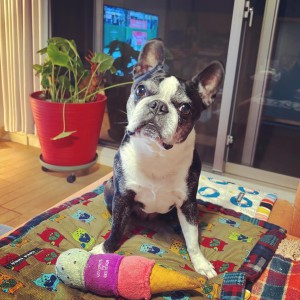 C0CA303E-FDB3-4998-8C5A-CB96BFEB6CBC