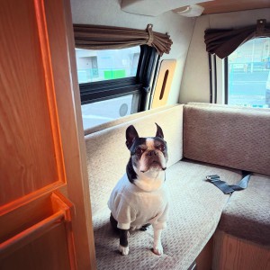 EF7F1CFA-199C-4C97-8066-3D8741BC9069