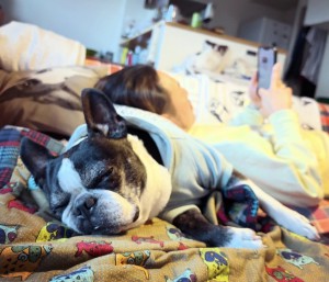 FB8DBC39-8E60-41F1-B806-9140FA54FB7A