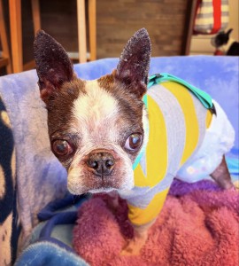 76B84853-0F4F-4244-8127-AAA06BF3867B