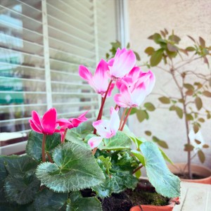 7C44B75A-47A0-42C3-9BDB-01D16455EF20