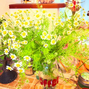 8AE00439-FB14-42E9-8DB1-1A3D6069C143