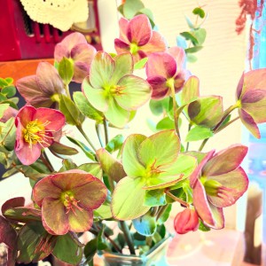 C54BF75A-F927-44B9-8C9F-64170470BAA4