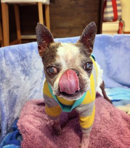 F062B6C3-911C-4CBE-9A5A-F1E1097E3122