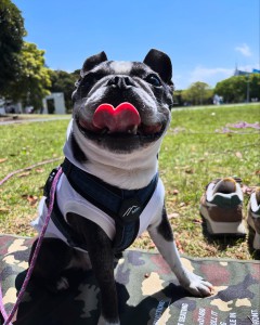 0592F782-FBDE-44FB-B69E-245DA2AA35CD