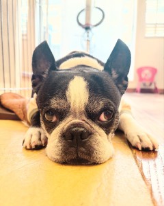 BC16C7C7-86CE-469B-AD38-BB93626F05B8