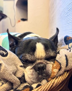 1D66913E-D12D-479C-A970-13E1CCE57DCB