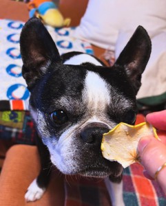 3951AE2D-0273-4CAB-8FDD-3A62EE104849