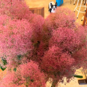 5B8016E9-6E66-4025-9DC8-F5E3EBA2ABDE