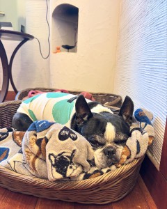 980F92D7-3722-4EED-A36A-C1C6C0DE1978