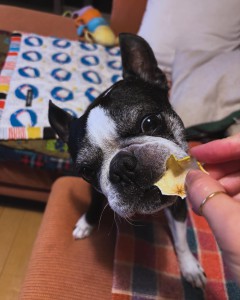 AABF6E17-D5BC-4D5C-B242-3F77FBEA47E4