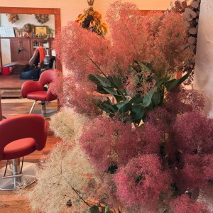 F8E8573C-7F9B-4C4F-8918-45A85332A121