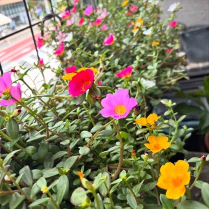 0563BD0F-2E02-48E4-92B3-893A486FE82C