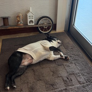 57FC2E8B-2AE8-44F3-863C-57FA7C3A1B7B