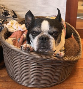 9D31441C-F721-45D6-82D5-9D3DD2B93C3F