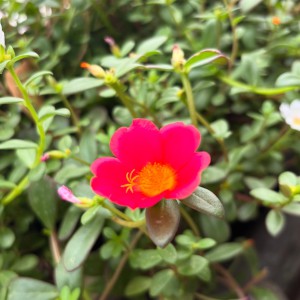 BAC01260-A8FD-463E-9B8B-A90D9D827EE5