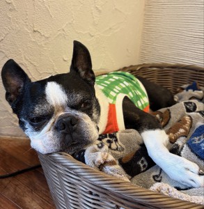 D567C6D8-579F-4C35-B47B-79143DDB9FD6