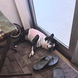 2C3F82EE-47CA-497D-9E84-3A392F02A70B