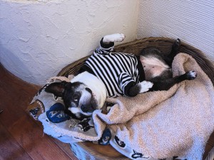 8BAF7841-FFE2-47F9-A157-CB07308E572C