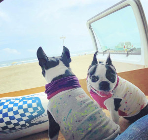 91A2BE96-10C4-4095-B7D1-BC73E67E2FED