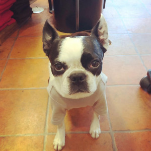 B0A2536D-713D-4FC7-AF23-4ABBD26A49A3