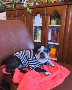 D65A3DD5-CE97-46A7-9746-073BD538F72B 3