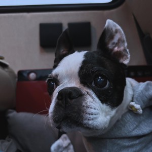 DB1A981A-24DB-4A3A-A901-37E0951EAA1C