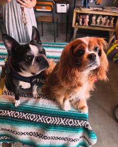 2DC9E6AD-CB8C-47CD-B900-6CA746618C83