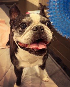 90E87A9D-9C50-4337-9FFD-1C10EF74CB1B