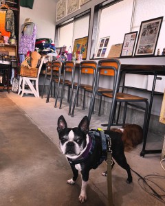 DA14639C-43E0-4173-B551-7689E68324C6