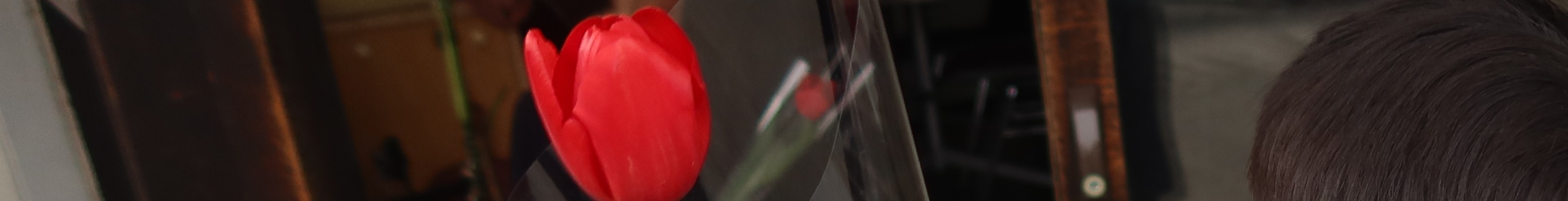 キャッチアップ写真2