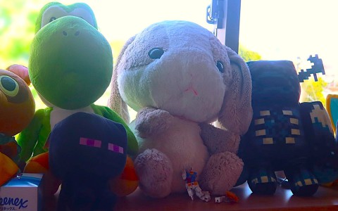 ぼくのお気に入り