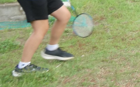 ほのぼのした日々